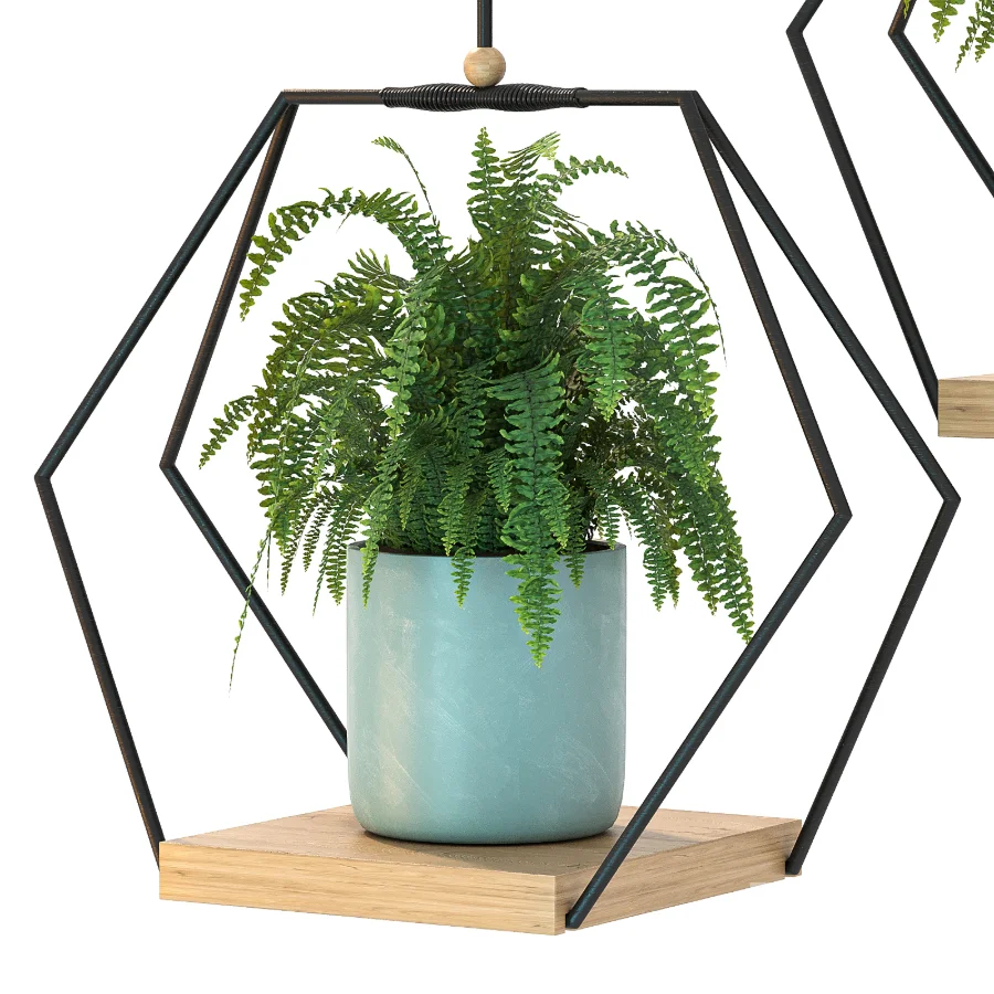 Hanging Plant 06 Image 5