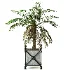 Outdoor Plant 04 – Palm Tree Planter - Thumbnail 3
