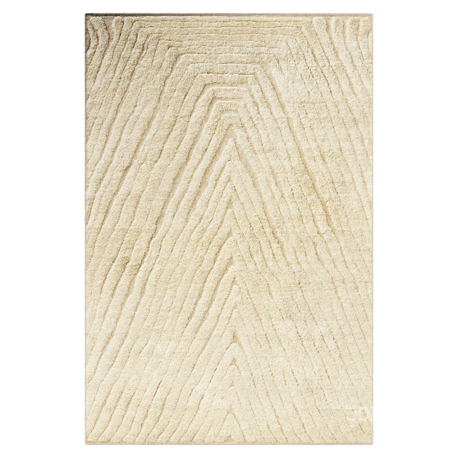 Carpet Image 4