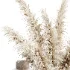 Indoor Plant 20 - Thumbnail 3