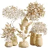 AV Indoor Plants Set 603 Chemlali Olive and Peace Lily and Olive Eucalyptus and Bird Of Paradise - Thumbnail 8