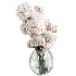 Flowers in Vase Collection 64 - Thumbnail 1