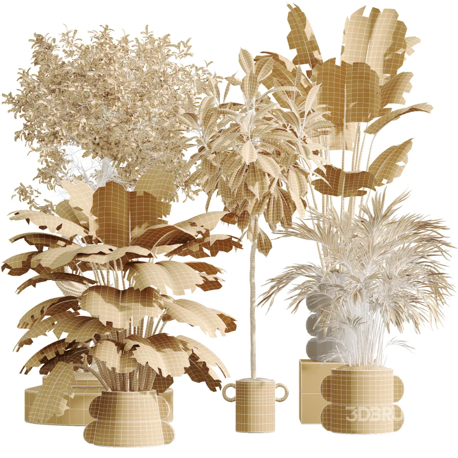 AV Indoor Plants Set 619 Elegant Monstera and Ficus Microcarpa Bonsai and Ficus Cyathistipula and Cat Reed Palm Image 10
