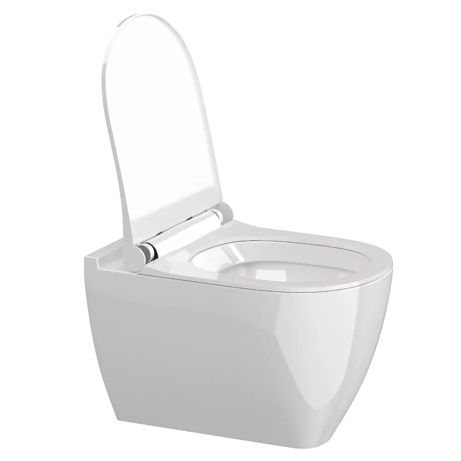 Modern Toilet 01 Image 1