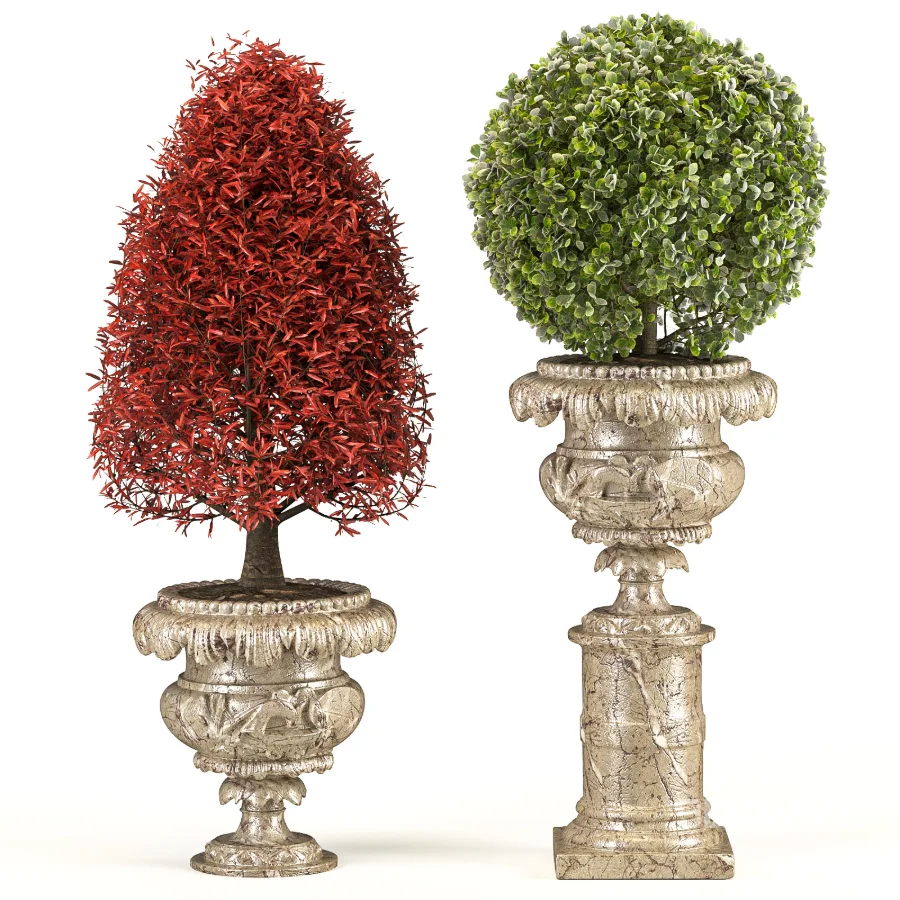 Outdoor Plant 06 – Neoclassical Style Image 4