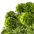 Bouquet of Flowers with Hydrangea 054 - Thumbnail 4