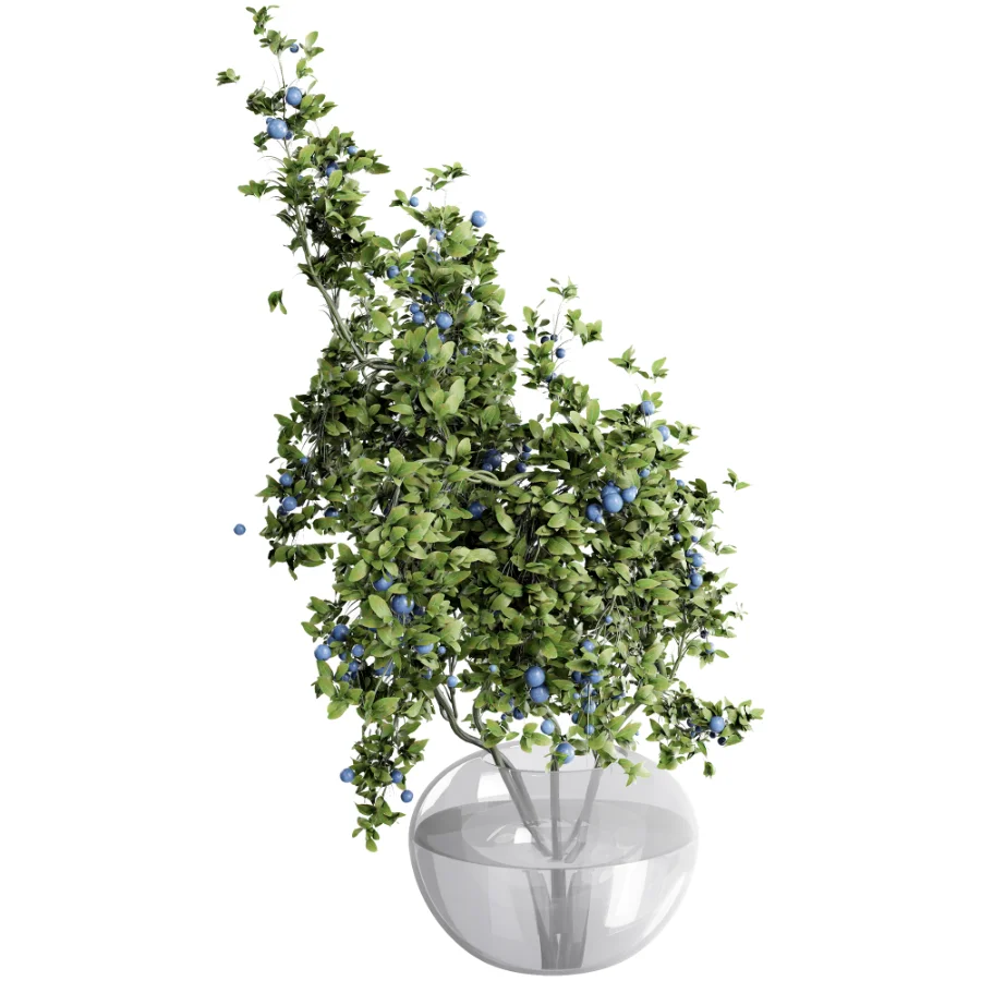 blueberry bouquet in vase Image 1