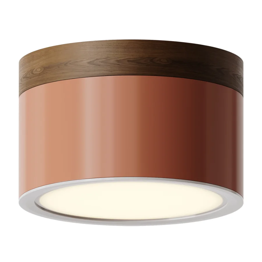 Surface mounted spotlight Model RD-0206 Image 3