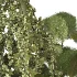 Verdant Cascade Arrangement 058 - Thumbnail 4