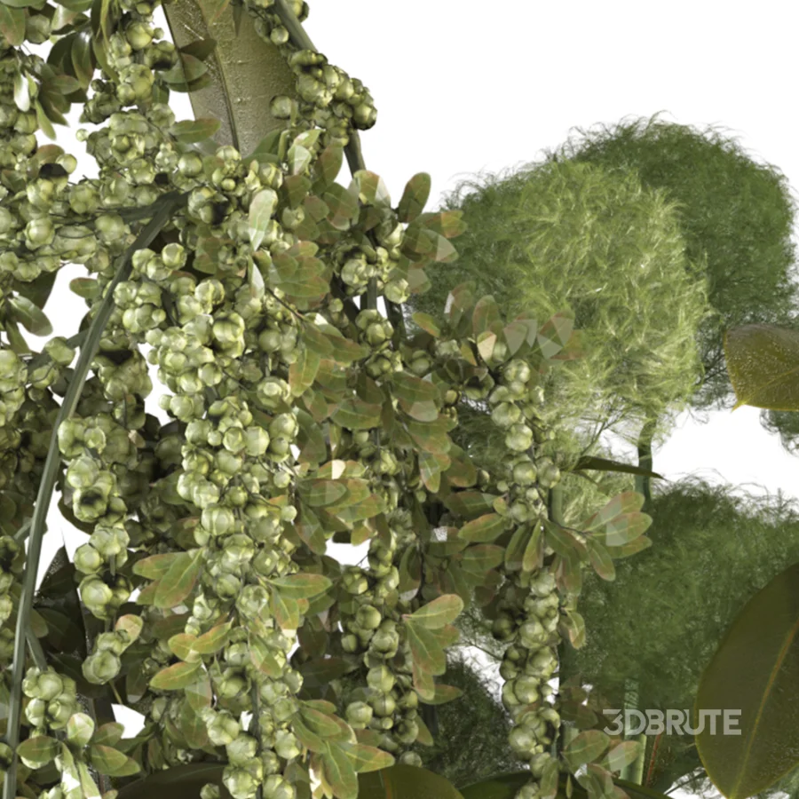 Verdant Cascade Arrangement 058 Image 4