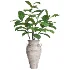 Verdant Harmony Planter 061 - Thumbnail 1