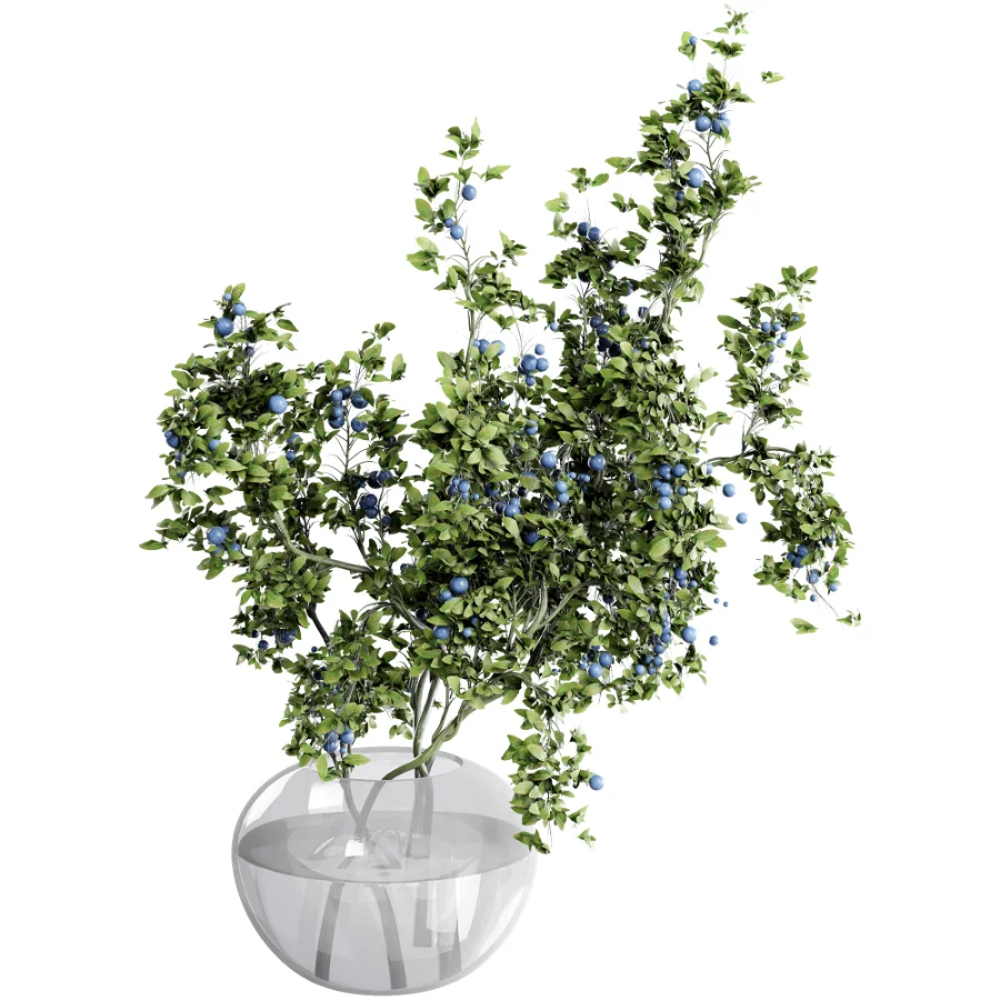 blueberry bouquet in vase Image 3