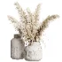 Indoor Plant 20 - Thumbnail 1