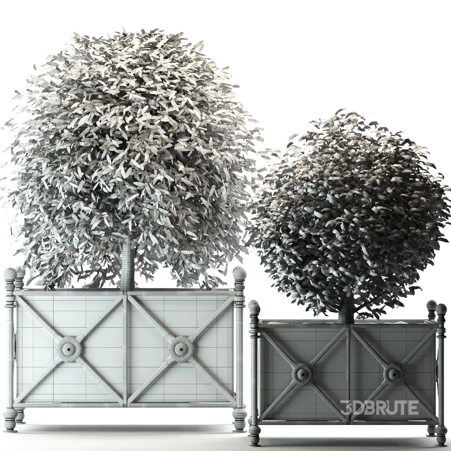 Outdoor Plant 03 – Decorative Planter Trees Image 3