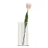 Bouquet of tulips in a glass vase-set001 - Thumbnail 1