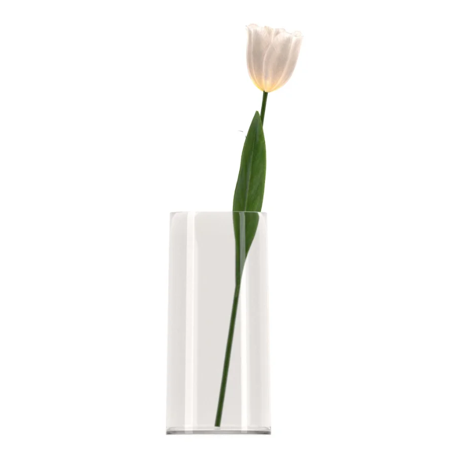 Bouquet of tulips in a glass vase-set001 Image 1