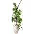 Flowers in Vase Collection 63 - Thumbnail 2