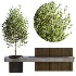 Bench with Plants – Urban Furniture 05 - Thumbnail 3
