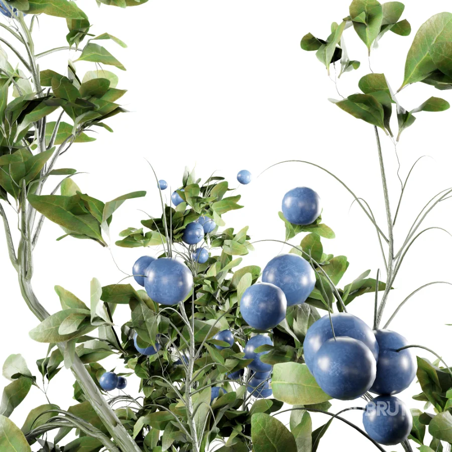 blueberry bouquet in vase Image 4