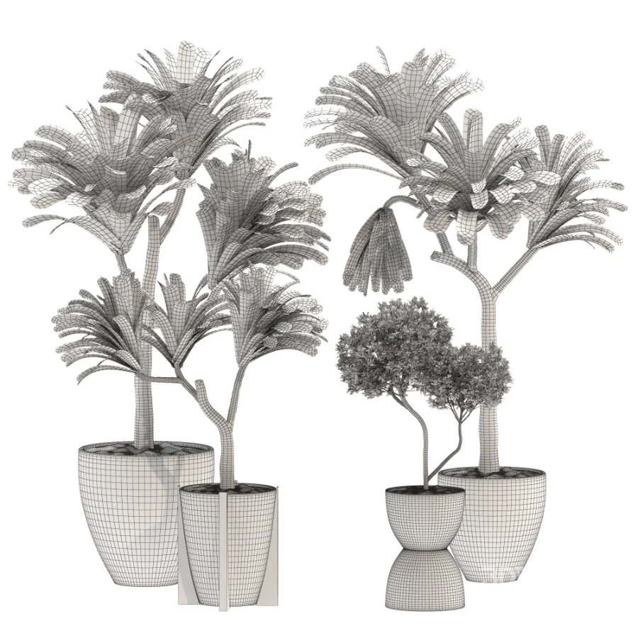 Indoor Plants Set 029-Yucca Elephantipes Image 4