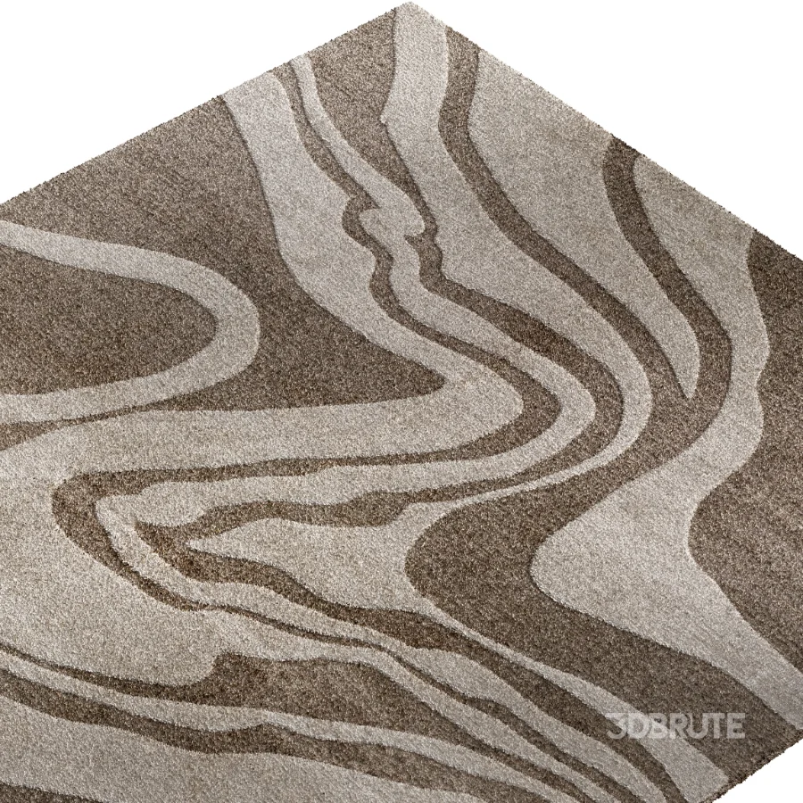 CARPET 05 Image 2