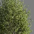 Bench with Plants – Urban Furniture 05 - Thumbnail 5