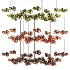 Bocci 100 random lights - Thumbnail 5