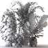 Plant Set 14 - Thumbnail 3