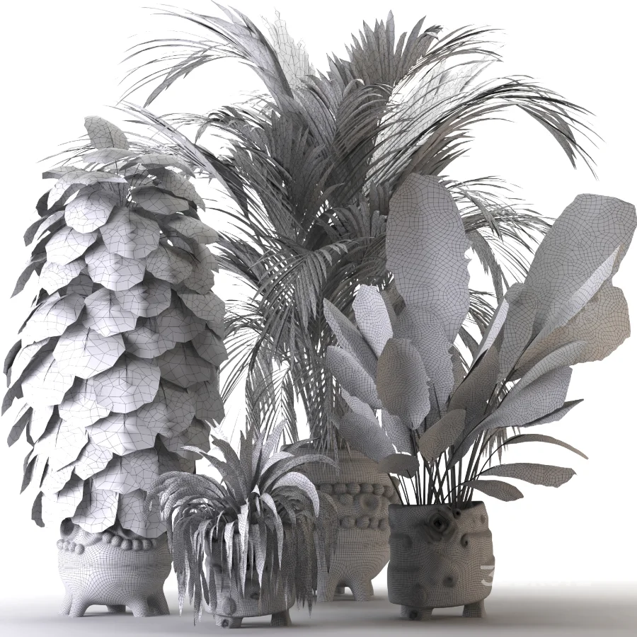 Plant Set 14 Image 3