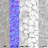 Stone Wall 42 (Seamless) - Thumbnail 7