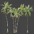 AV Plant Cocos Nucifera Palm Tree 02 - Thumbnail 6