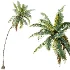 AV Plant Cocos Nucifera Palm Tree 02 - Thumbnail 3