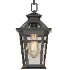 Black Outdoor Pendant Light - Thumbnail 6