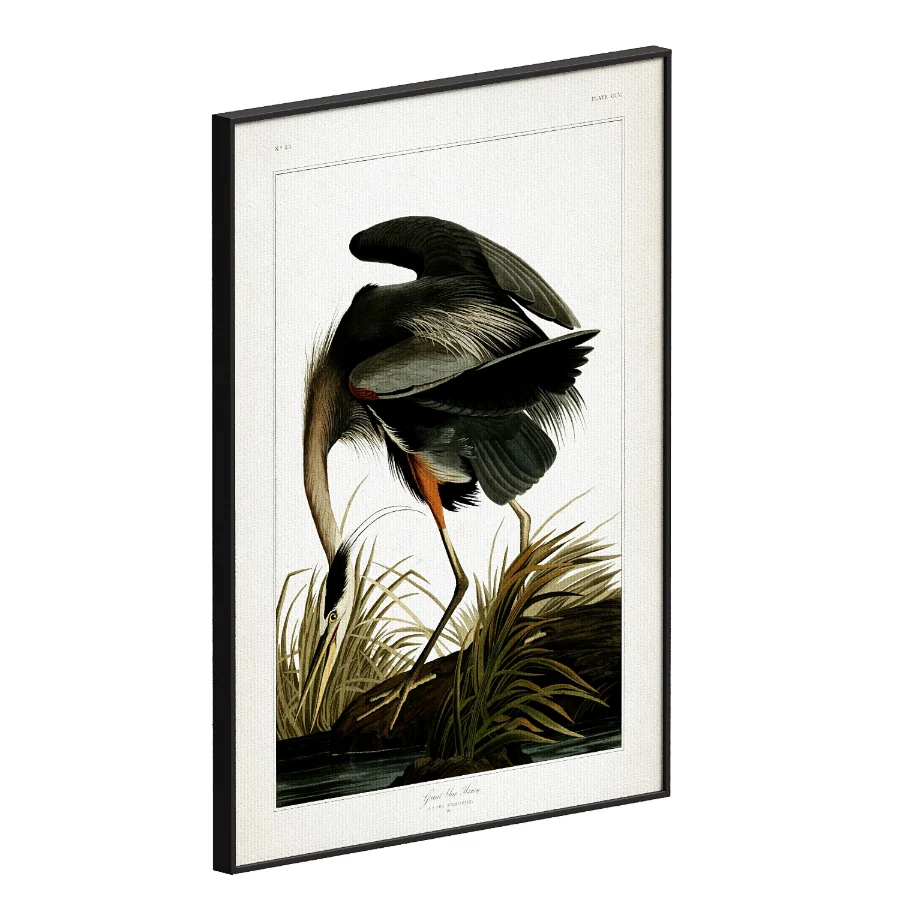 Great Blue Heron Print Image 1