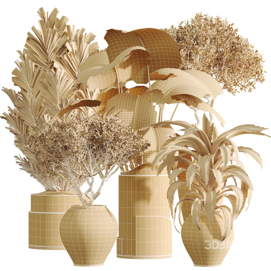 AV Indoor Plants Set 503 Dracaena Warneckii Olive Elegant Monstera Areca Palm Image 7