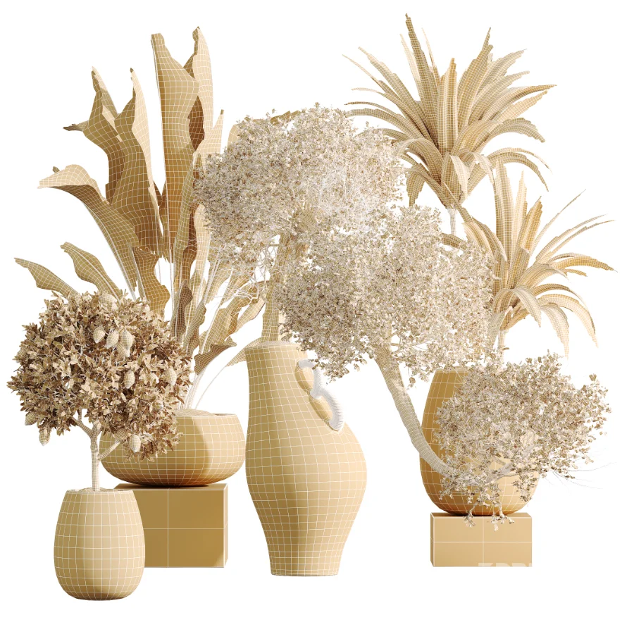 AV Indoor Plants Set 515 Dracaena Warneckii Banana Ficus Microcarpa Bonsai Lemon Tree Image 8