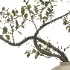 bouquet of plant decor-set002 - Thumbnail 1