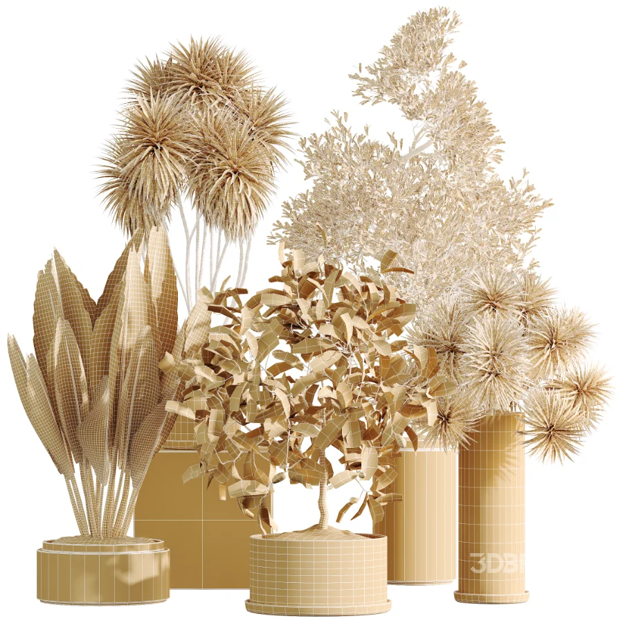 AV Indoor Plants Set 510 Yucca Briful Pachira Banana Olive Image 9
