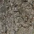 Stone Wall 60 (Seamless) - Thumbnail 5