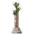 AV Indoor Plants Set 512 Olive Orange Tree Banana Cactus Echinocactus Yucca - Thumbnail 2