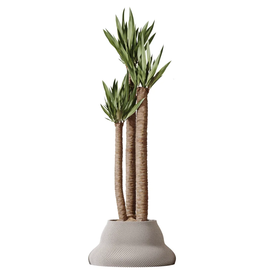 AV Indoor Plants Set 512 Olive Orange Tree Banana Cactus Echinocactus Yucca Image 2