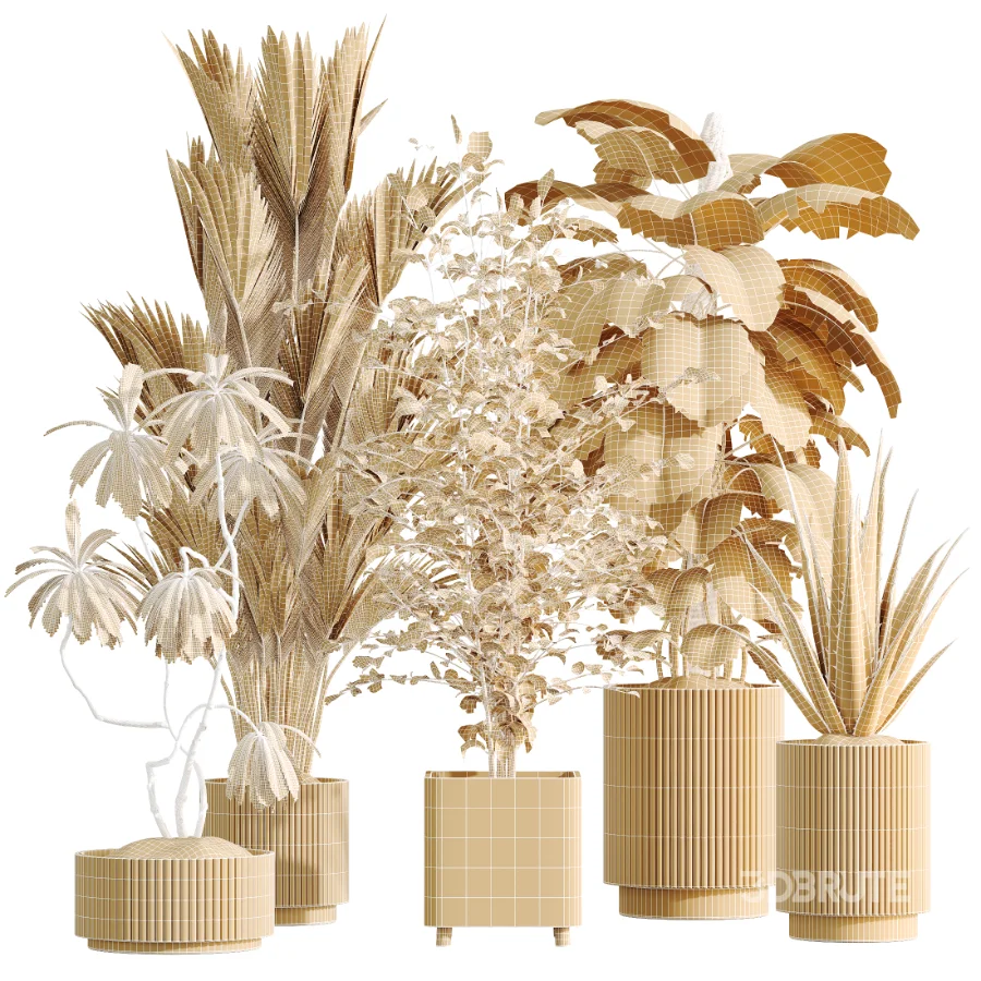 AV Indoor Plants Set 513 Aloe Vera Elegant Monstera Alnus Ficus Areca Palm Image 7