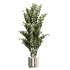 AV Indoor Plants Set 513 Aloe Vera Elegant Monstera Alnus Ficus Areca Palm - Thumbnail 1