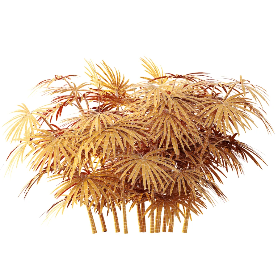 AV Plant Rhapis Excelsa Palm Bush 02 Image 8