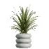 AV Indoor Plants Set 517 Ficus Coconut Palm Ficus Elastica Olive Eucalyptus - Thumbnail 5
