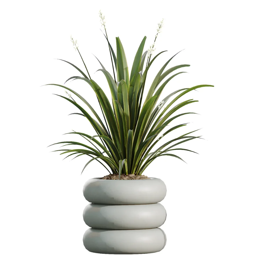 AV Indoor Plants Set 517 Ficus Coconut Palm Ficus Elastica Olive Eucalyptus Image 5