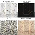 Stone 153 (Terrazzo Natrual, Macchia, Calacatta, Sahara Noir) - Thumbnail 5