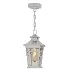 Black Outdoor Pendant Light - Thumbnail 2
