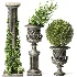 Outdoor Plant 09 - Thumbnail 5