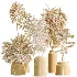 AV Indoor Plants Set 509 Licuala Palm Olive Ficus Binnendijkii Drupifera Areca Palm - Thumbnail 9